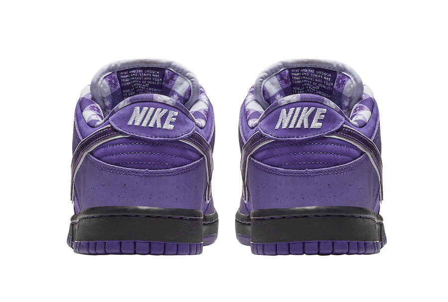 Concepts X Nike SB Dunk Low Purple Lobster BV1310-555