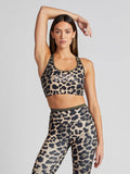 STELLAR SPORTS BRA